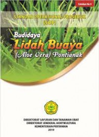 BUDIDAYA LIDAH BUAYA (ALOE VERA) PONTIANAK