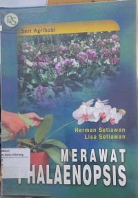 MERAWAT PHALAENOPSIS