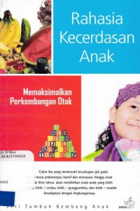 RAHASIA KECERDASAN ANAK : MEMAKSIMALKAN PERKEMBANGAN OTAK