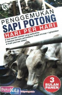 PENGGEMUKAN SAPI POTONG HARI PER HARI 3 BULAN PANEN